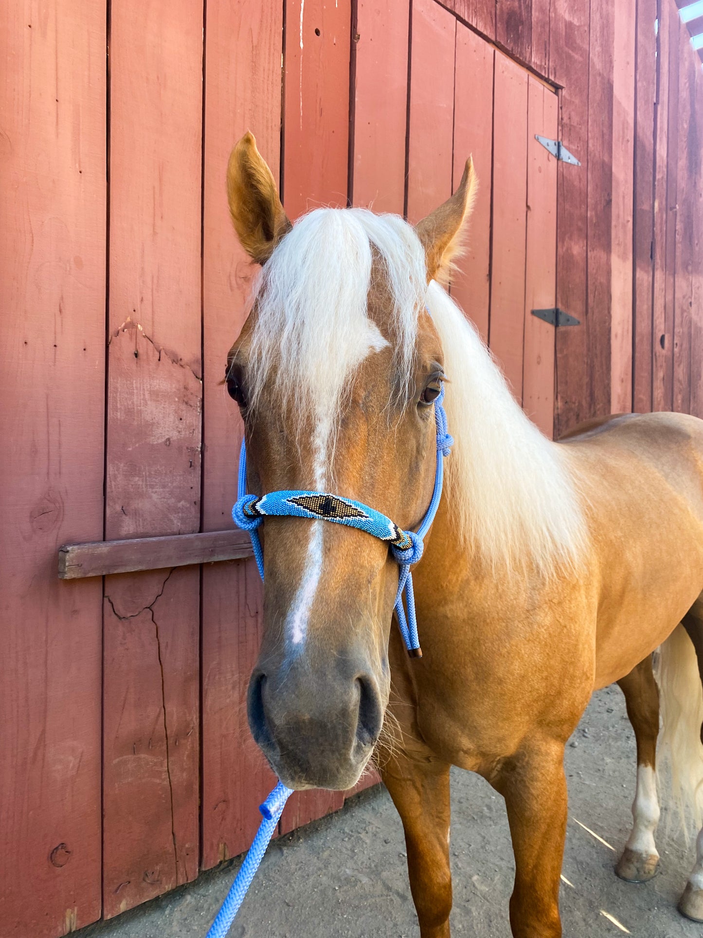 Baby blue beaded rope halter