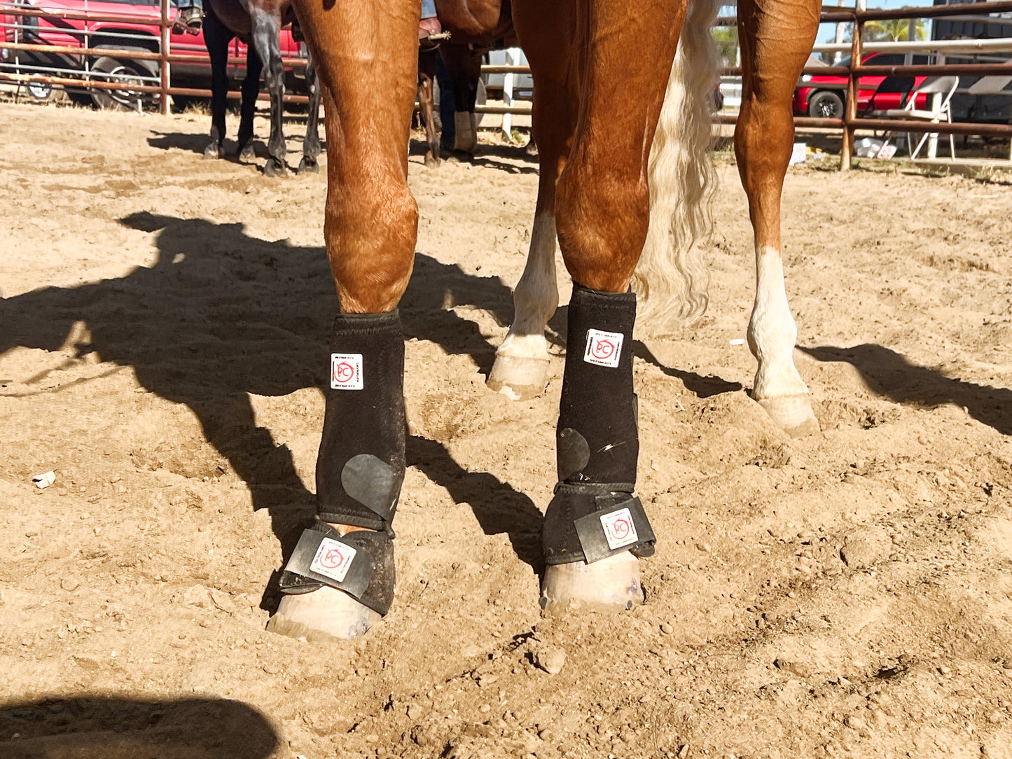 Chicano style Horse boots