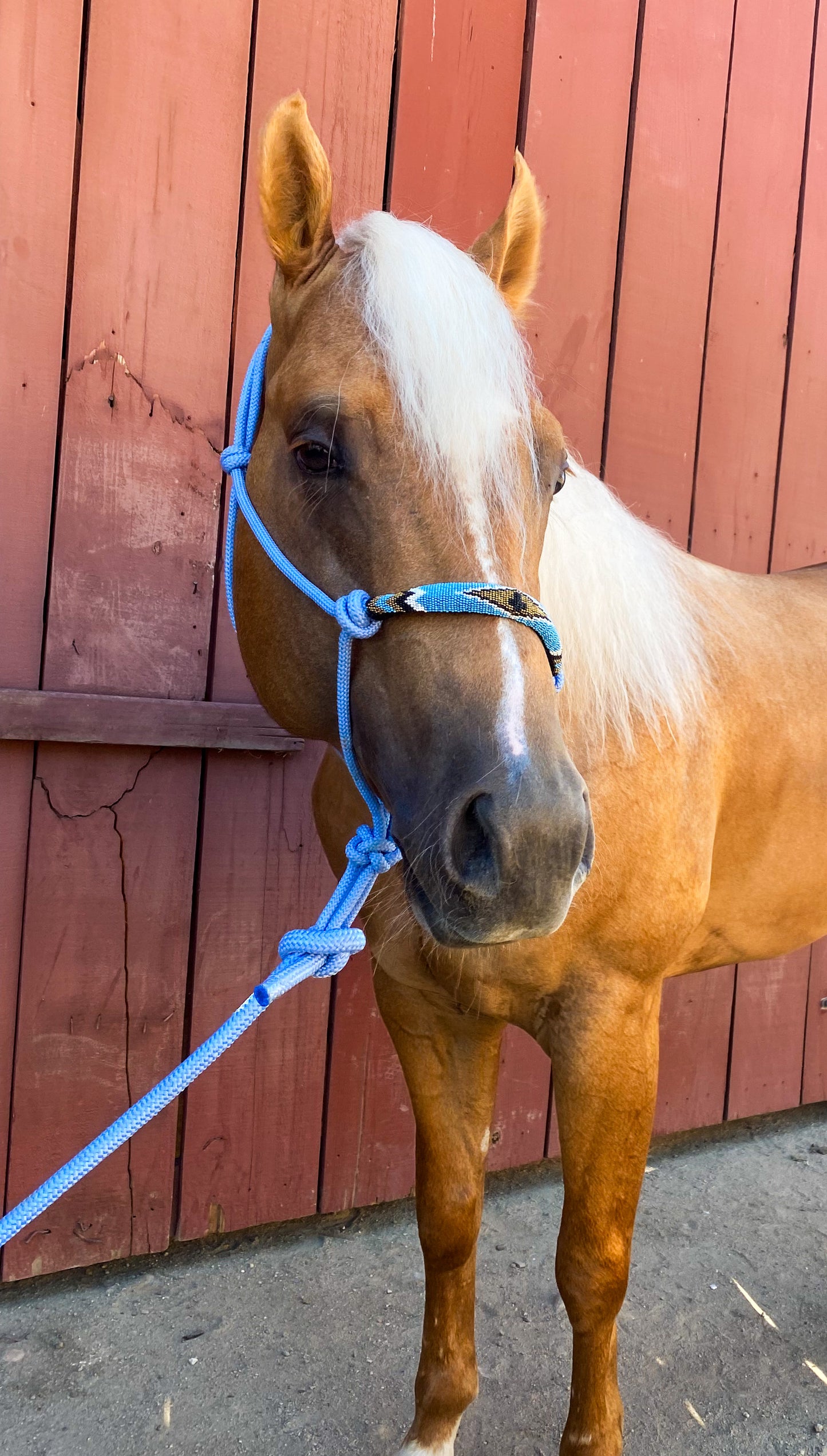 Baby blue beaded rope halter