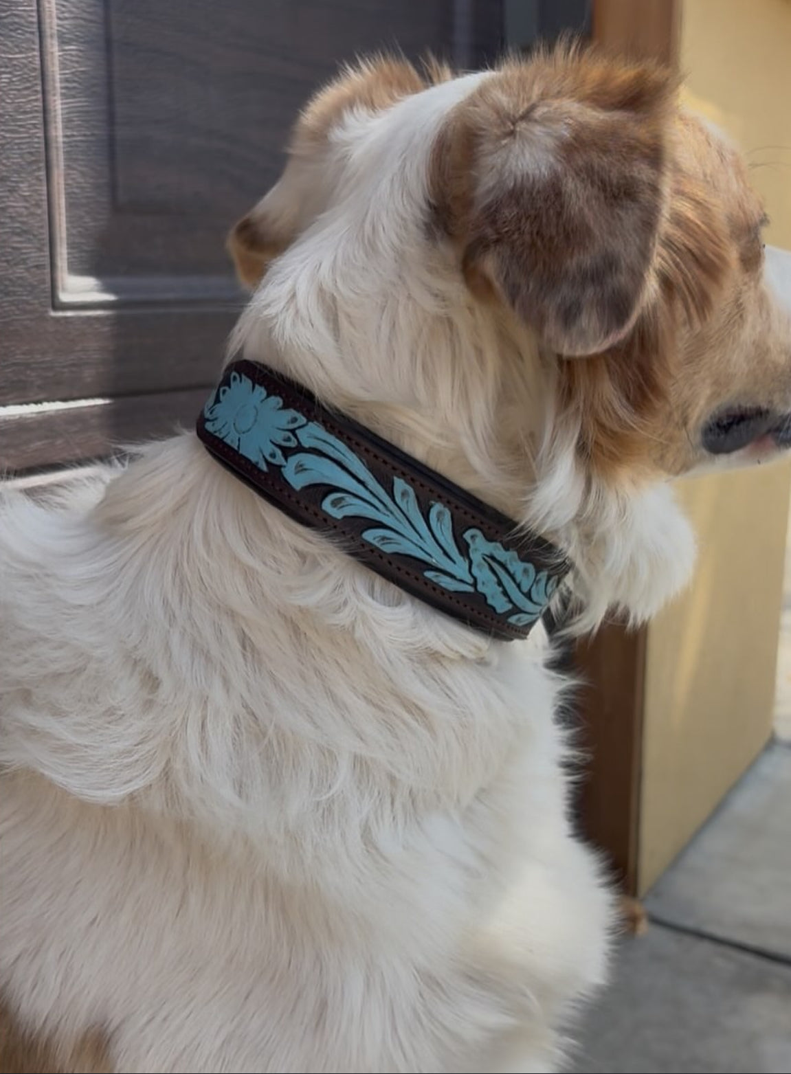 Blue Tooled Dog Collar