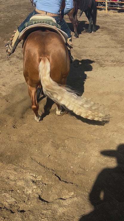 Chicano style Horse boots